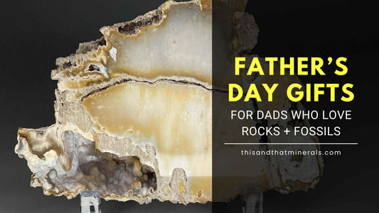 Father's Day Gifts for Dads Who Love Rocks and Fossils