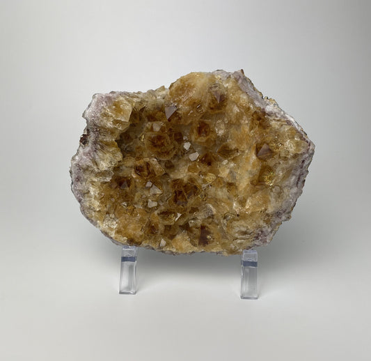 Citrine cluster with deep, orange-colored crystal formations on an acrylic stand against a gray background.