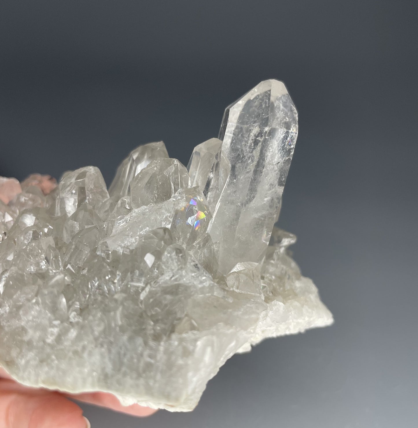 A natural Clear Quartz cluster with multiple crystal points, reflecting light beautifully against a neutral background.