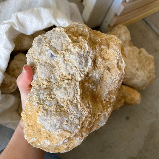A large, unopened geode resting on a rocky surface, ready to be broken open to reveal sparkling crystals within.