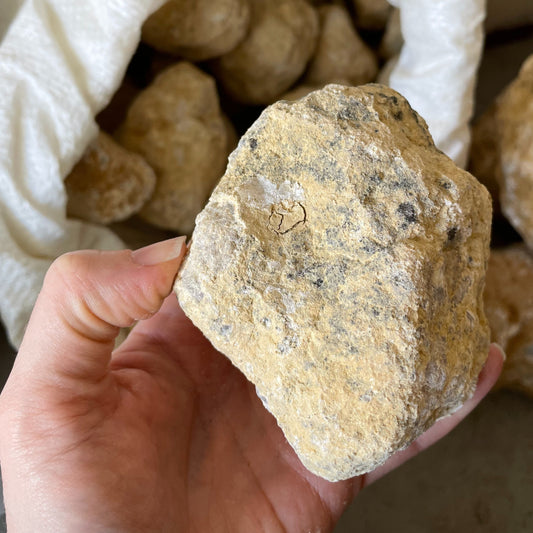 A medium break-your-own geode resting on a wooden surface, displaying a rugged exterior with visible cracks hinting at the sparkling crystals hidden within.