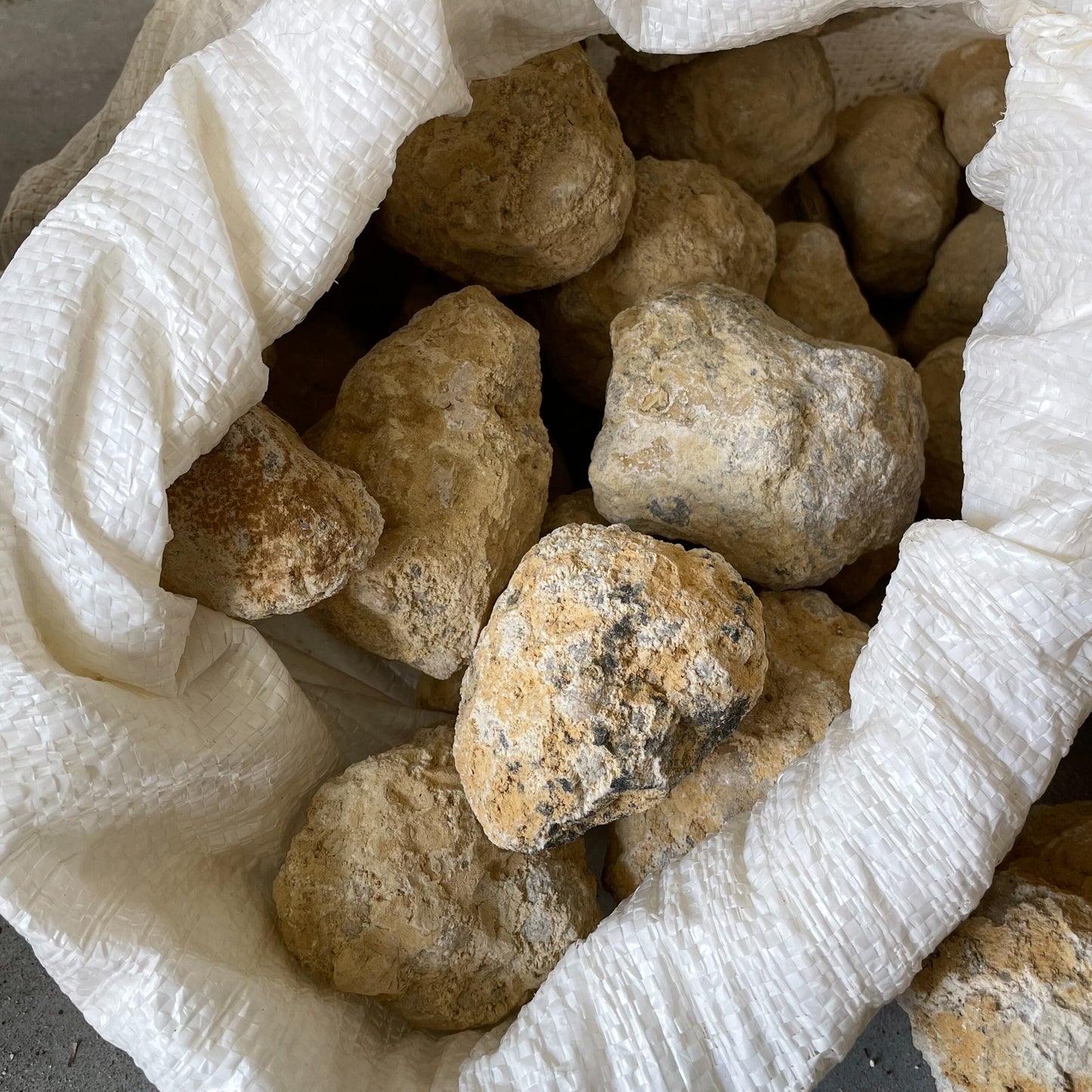 A medium break-your-own geode resting on a wooden surface, displaying a rugged exterior with visible cracks hinting at the sparkling crystals hidden within.