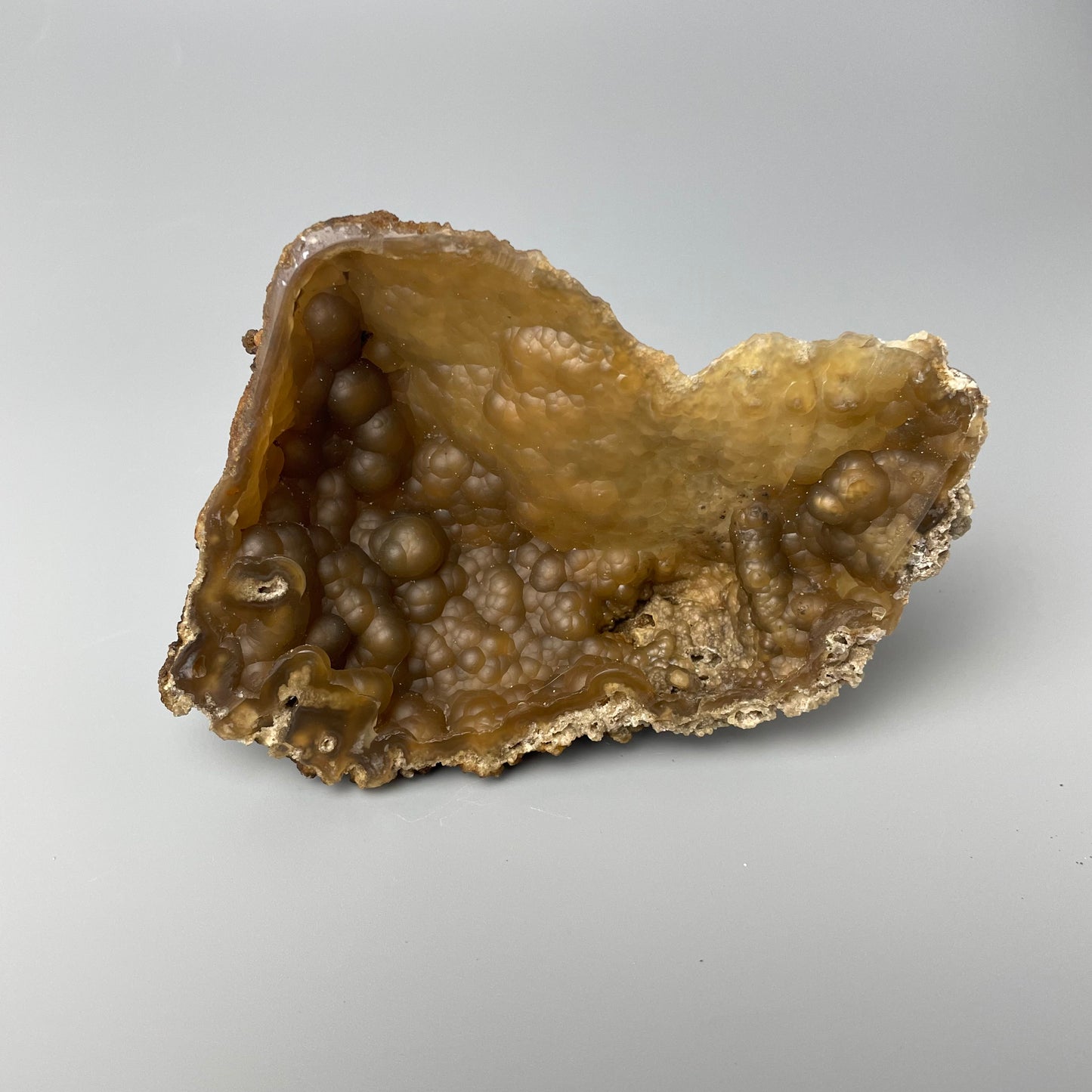 Agatized coral 006 is a 5-inch brown agatized coral with intricate patterns and textures.