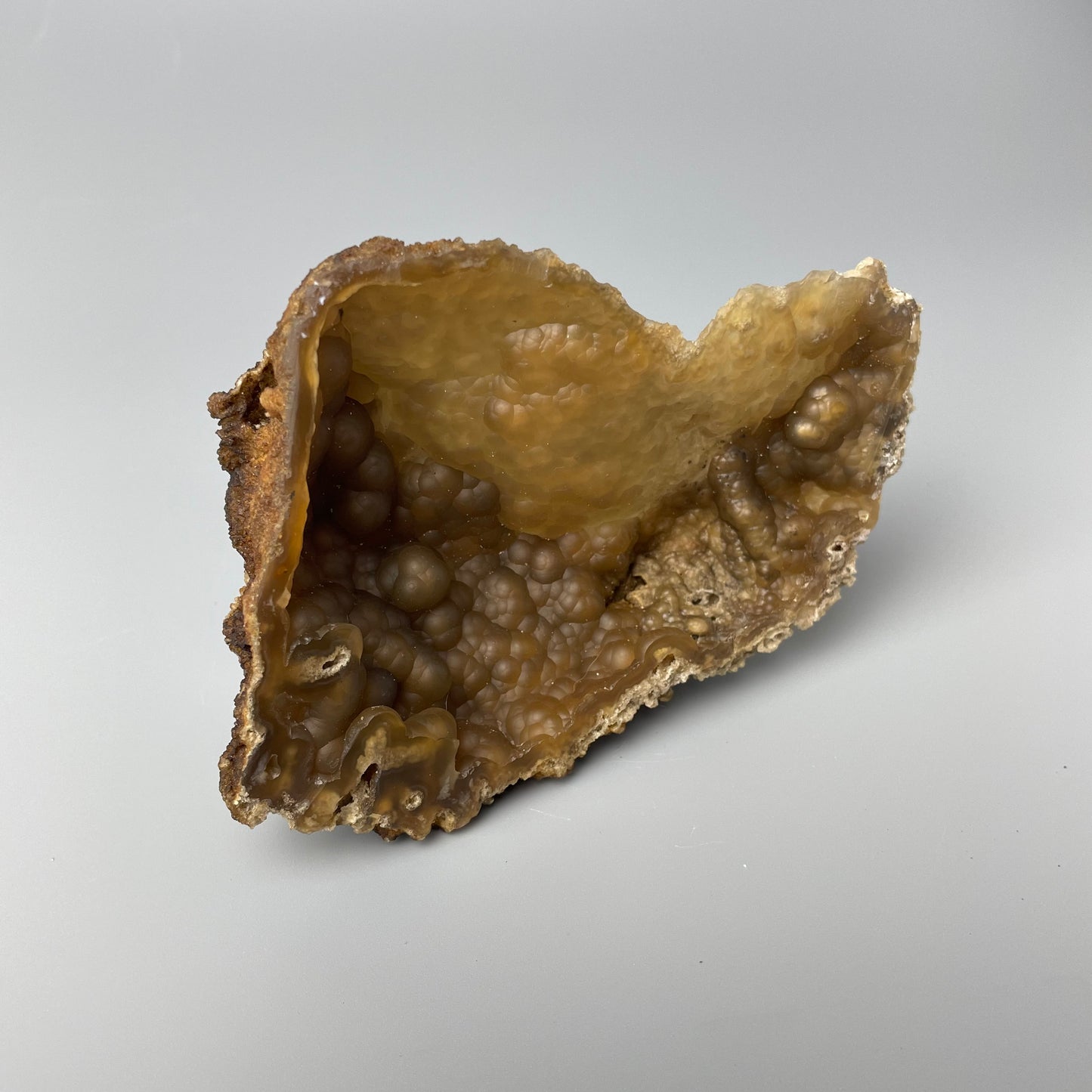 Agatized coral 006 is a 5-inch brown agatized coral with intricate patterns and textures.