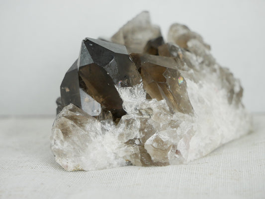 A large smokey quartz crystal cluster specimen, weighing 14.3 ounces. This natural stone cluster features multiple dark, translucent quartz crystals fused together, creating a stunning and intricate display of earthy beauty.