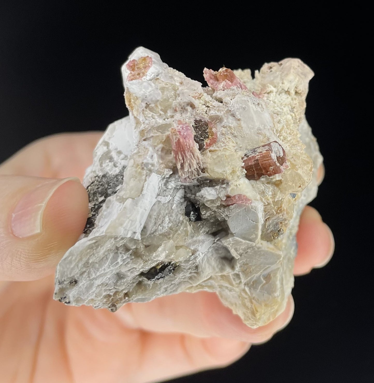 A close-up image of two mineral specimens featuring creamy Orthoclase crystals intergrown with clear quartz and dark tourmaline, showcasing a striking blend of textures and colors.