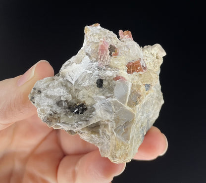 A close-up image of two mineral specimens featuring creamy Orthoclase crystals intergrown with clear quartz and dark tourmaline, showcasing a striking blend of textures and colors.