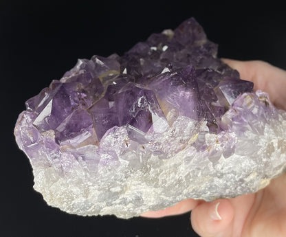 Amethyst cluster with brilliant hues of purple and various sizes of crystal formations