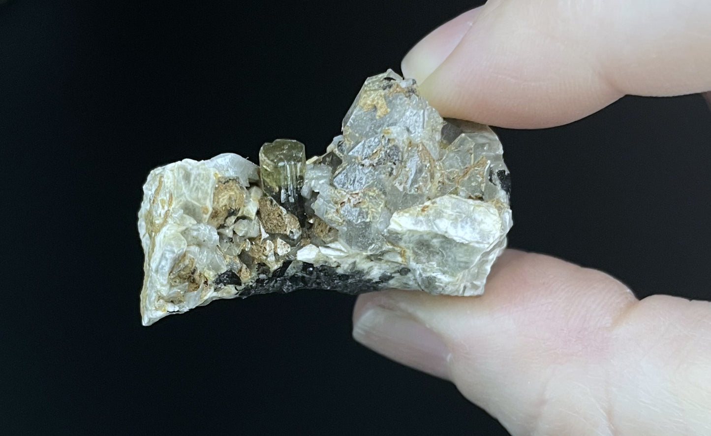 A close-up image of a mineral specimen featuring creamy Orthoclase crystals intergrown with clear quartz and dark tourmaline, showcasing a striking blend of textures and colors