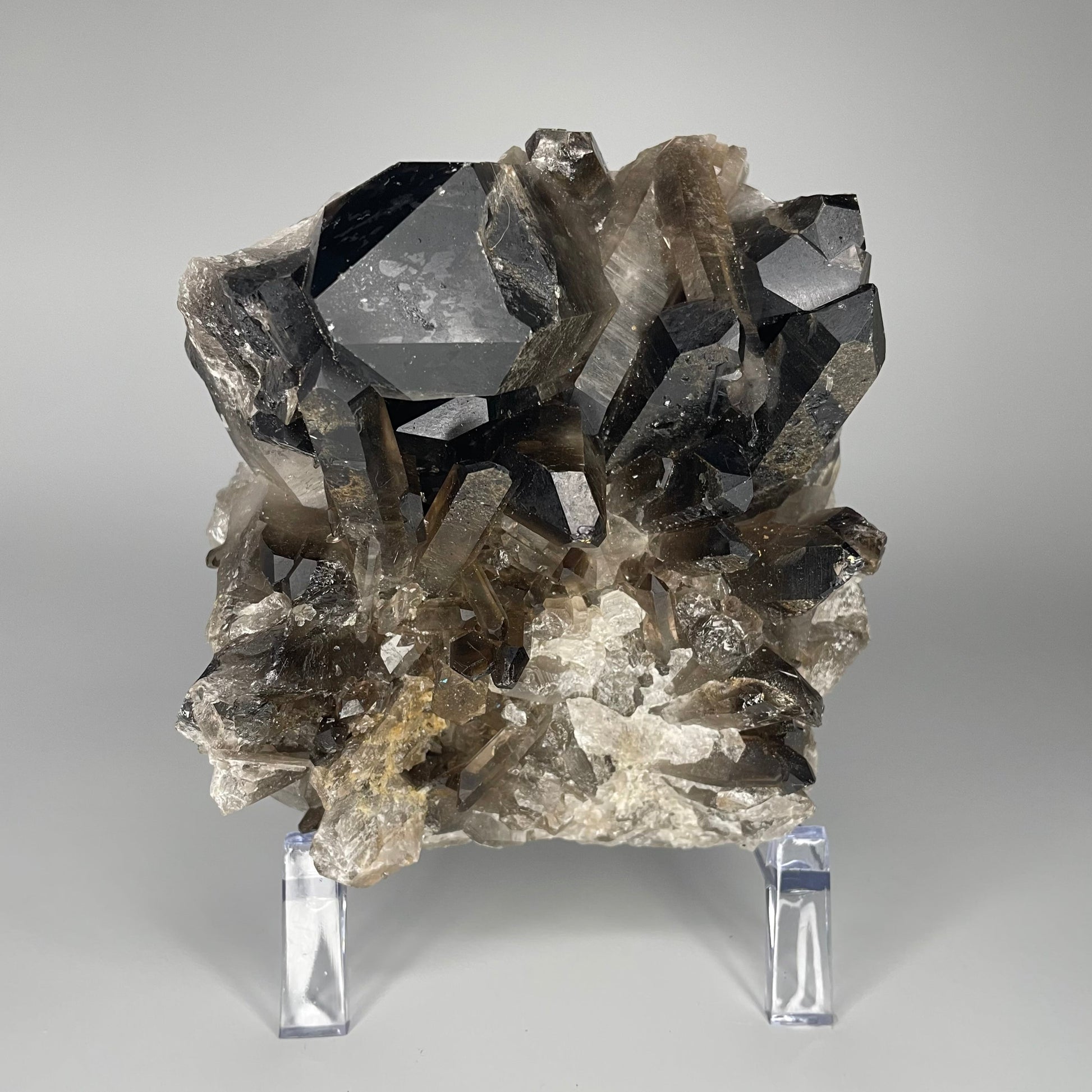 A large 39-ounce Smoky Quartz Cluster with dark hues and a mix of large and small crystal formations.