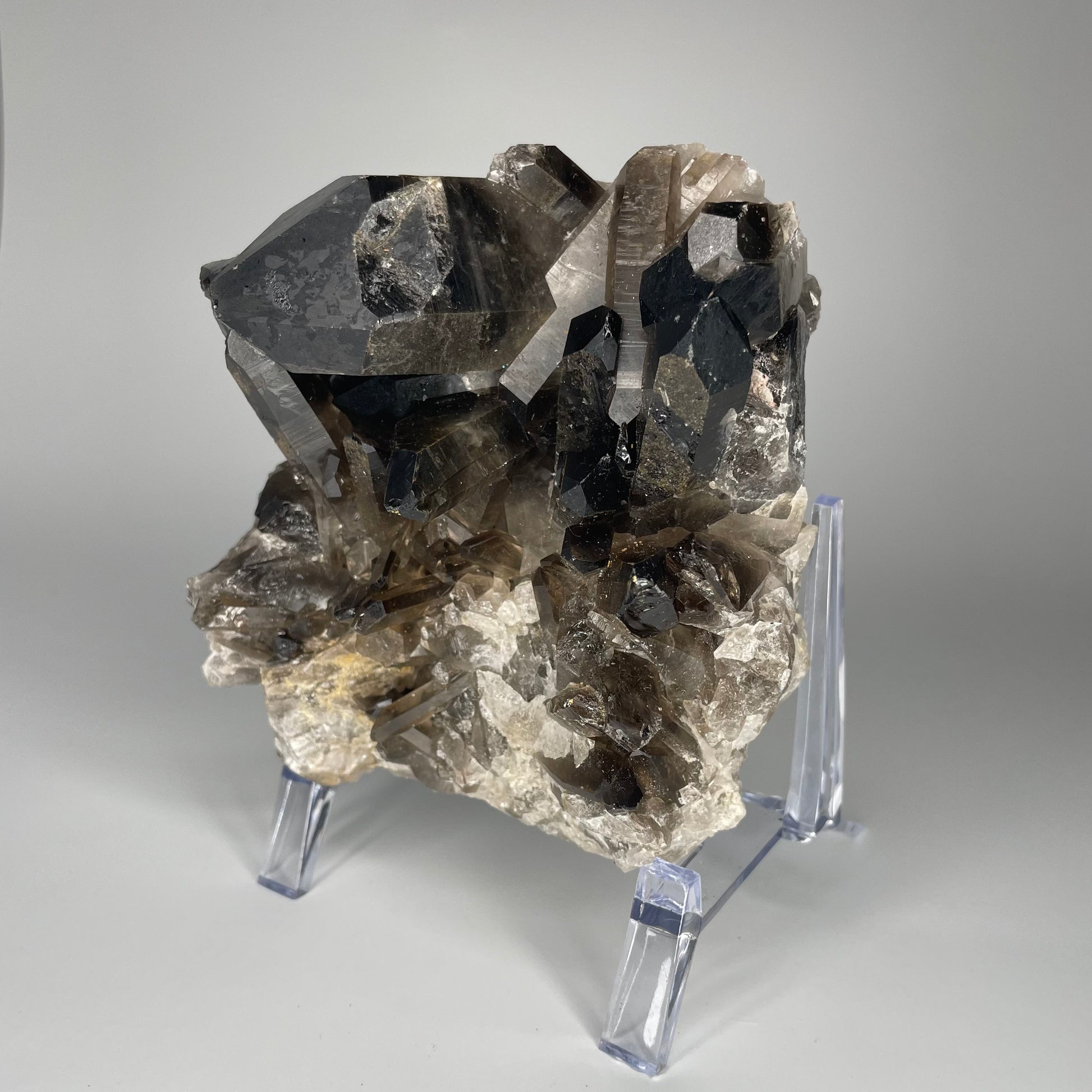 A large 39-ounce Smoky Quartz Cluster with dark hues and a mix of large and small crystal formations.