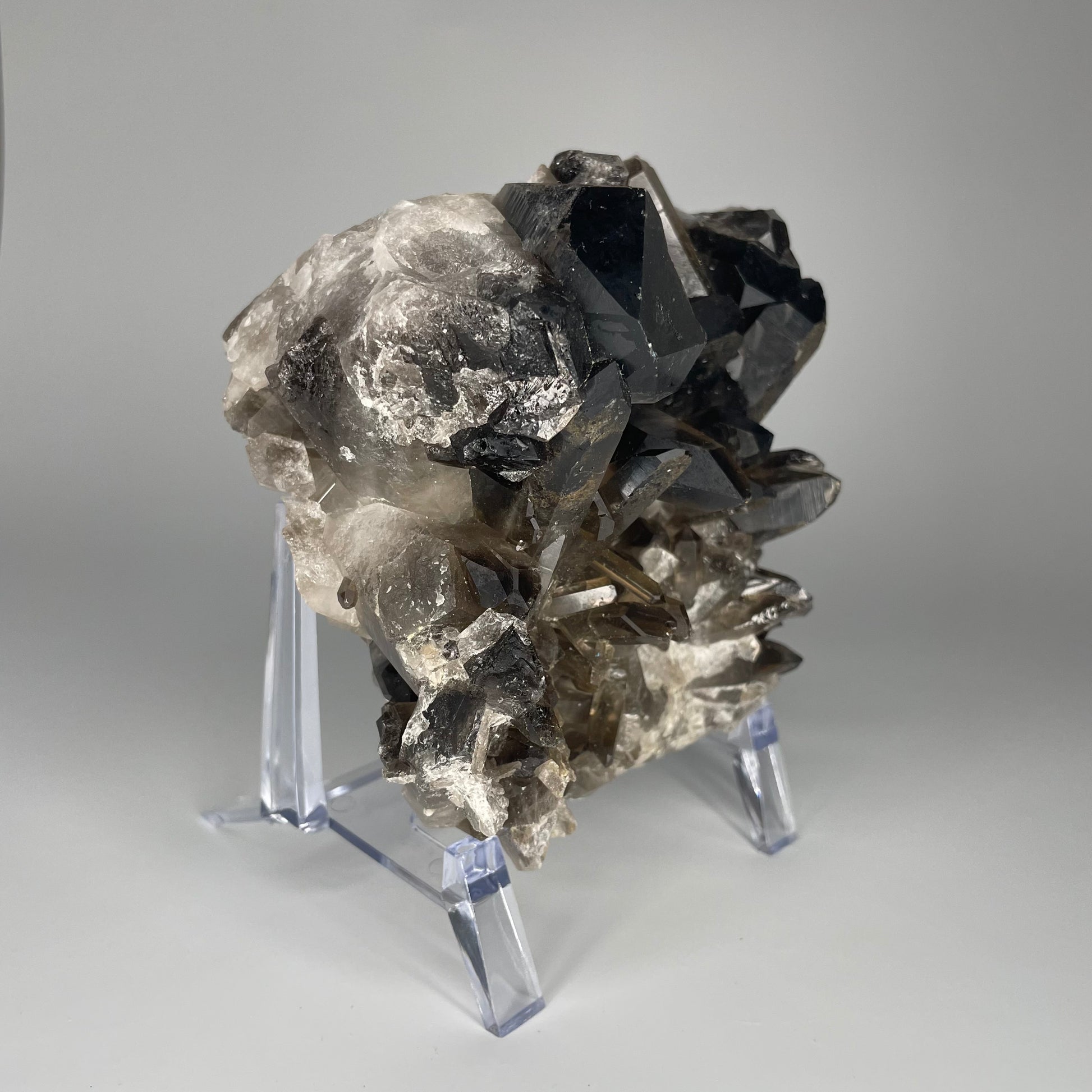 A large 39-ounce Smoky Quartz Cluster with dark hues and a mix of large and small crystal formations.