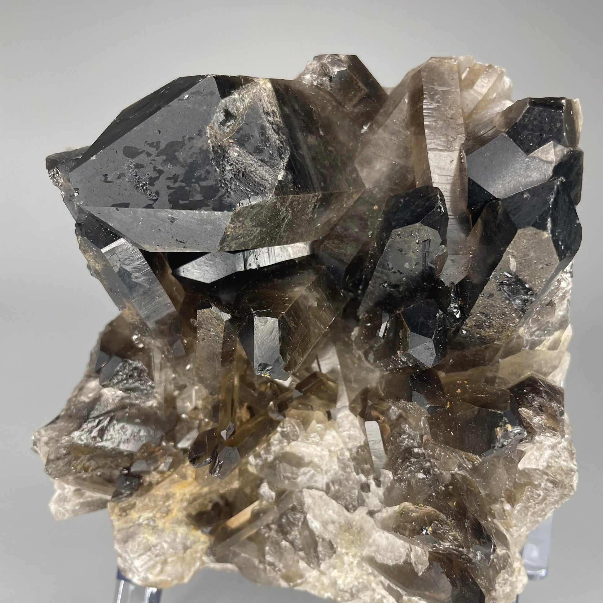 A large 39-ounce Smoky Quartz Cluster with dark hues and a mix of large and small crystal formations.