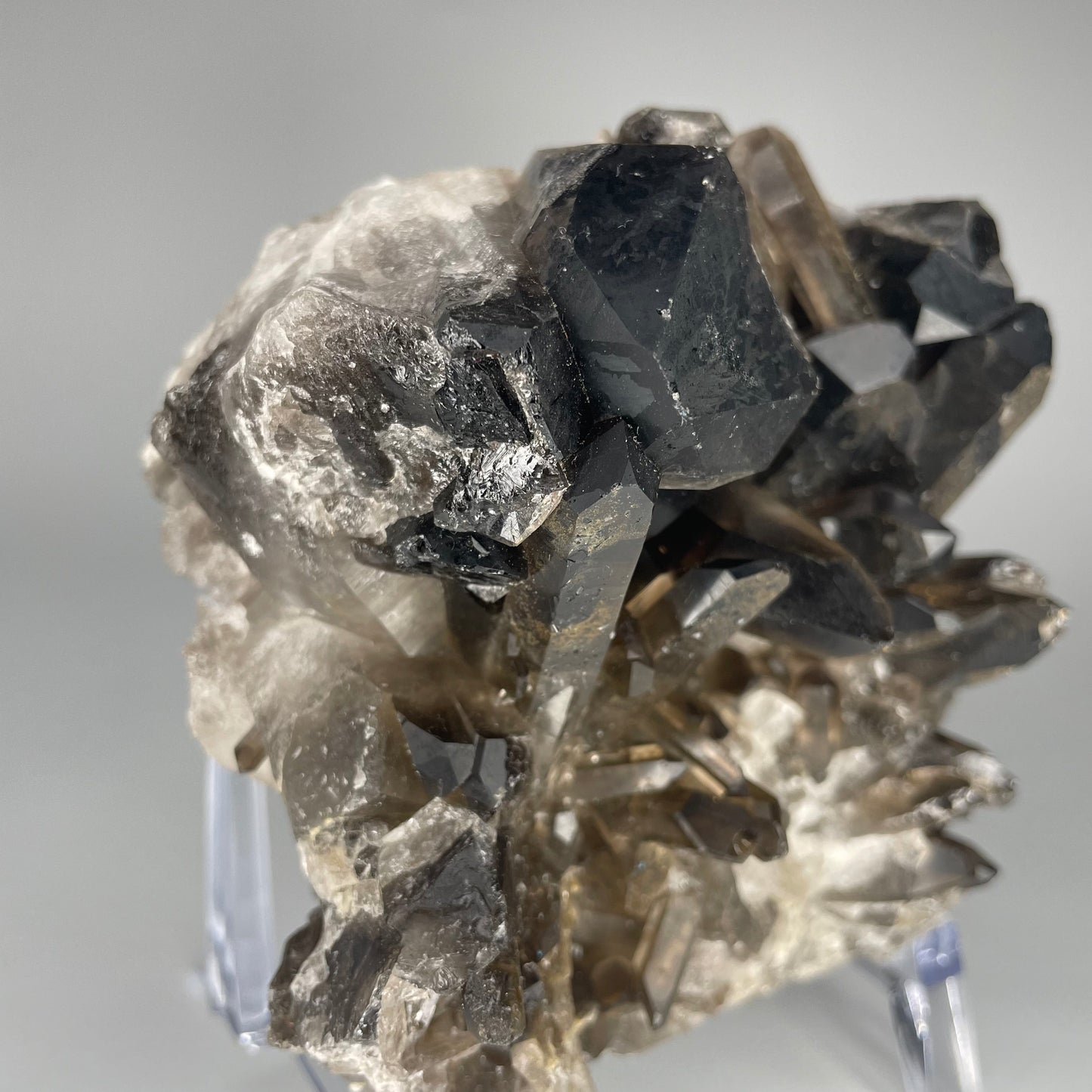 A large 39-ounce Smoky Quartz Cluster with dark hues and a mix of large and small crystal formations.