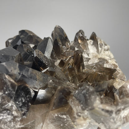 A large 39-ounce Smoky Quartz Cluster with dark hues and a mix of large and small crystal formations.