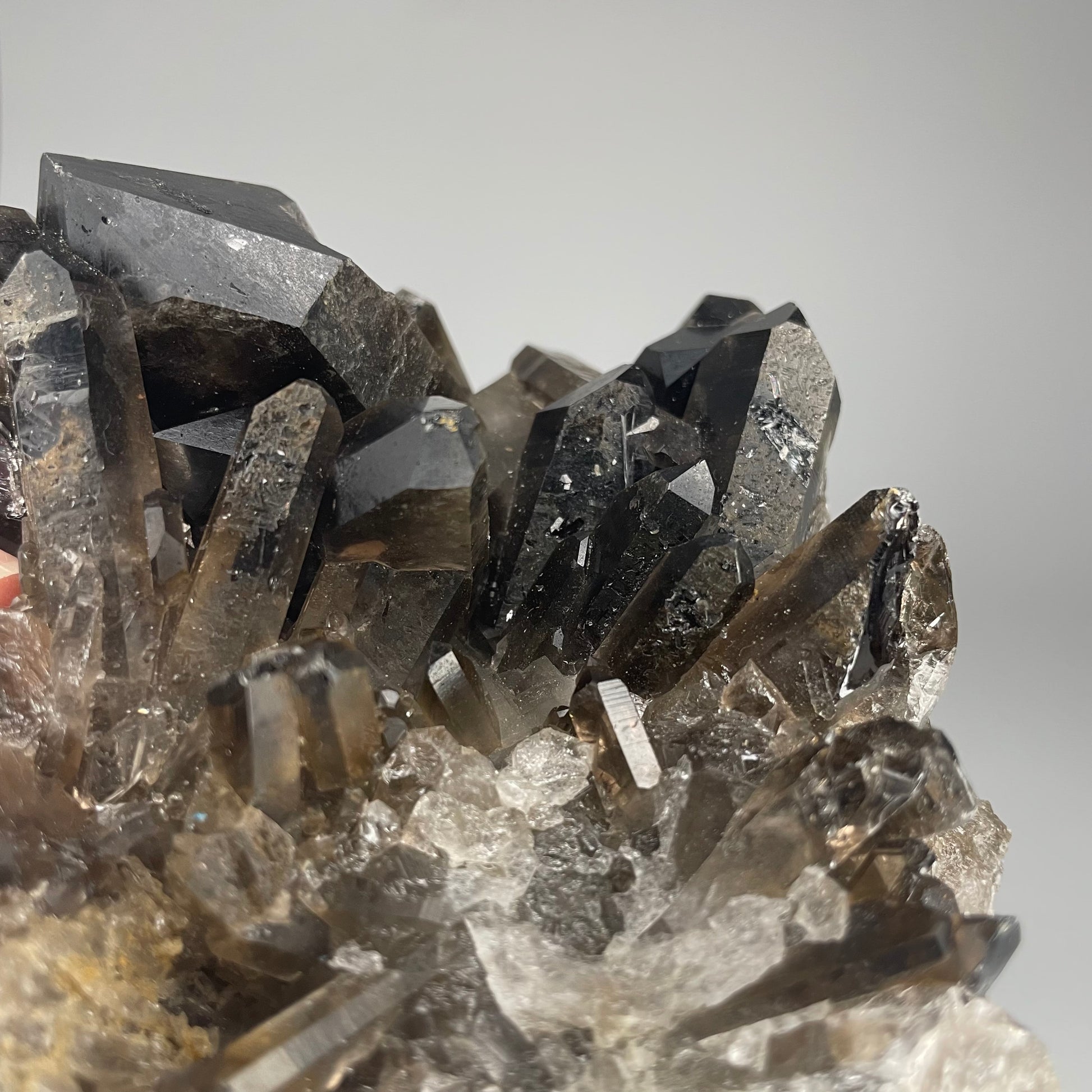 A large 39-ounce Smoky Quartz Cluster with dark hues and a mix of large and small crystal formations.