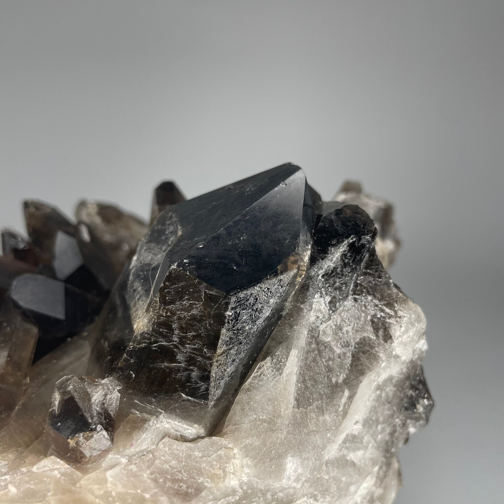 A large 39-ounce Smoky Quartz Cluster with dark hues and a mix of large and small crystal formations.