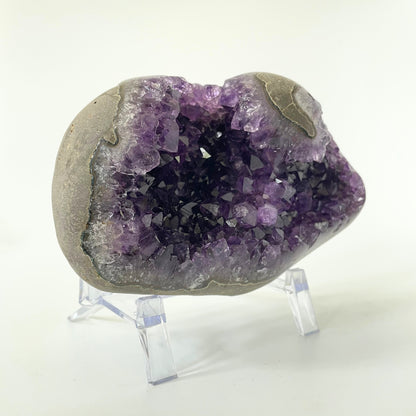 Amethyst cluster with polished edges and brilliant hues of deep purple and various sizes of crystal formations on a white background.