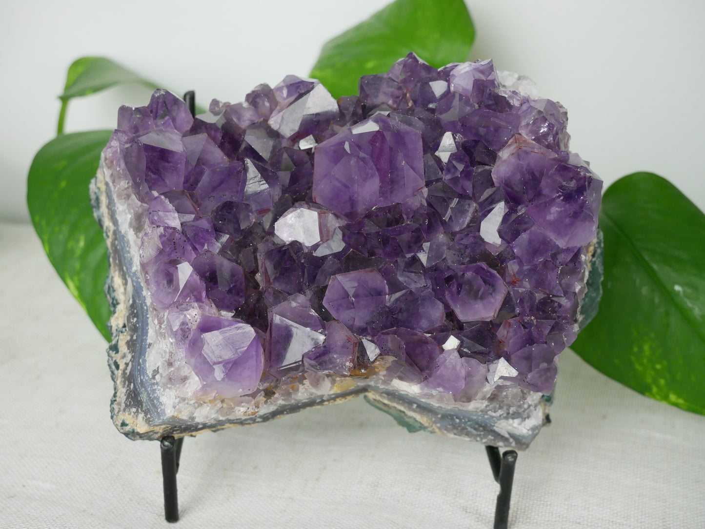 Amethyst Cluster | 4.53 inches | 37.56 ounces This & That Minerals