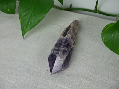 Amethyst Root | 6 oz This & That Minerals