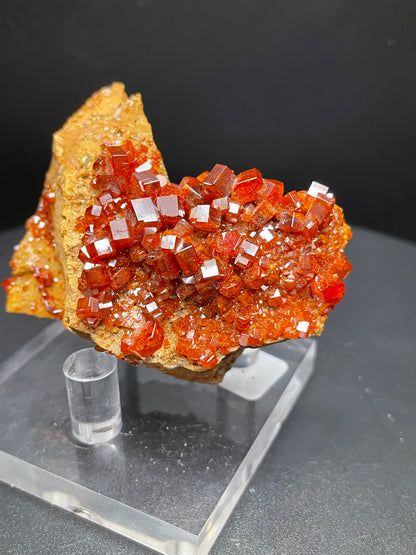 Beautiful Vanadinite Crystals on Sandstone | 86.8 grams This & That Minerals