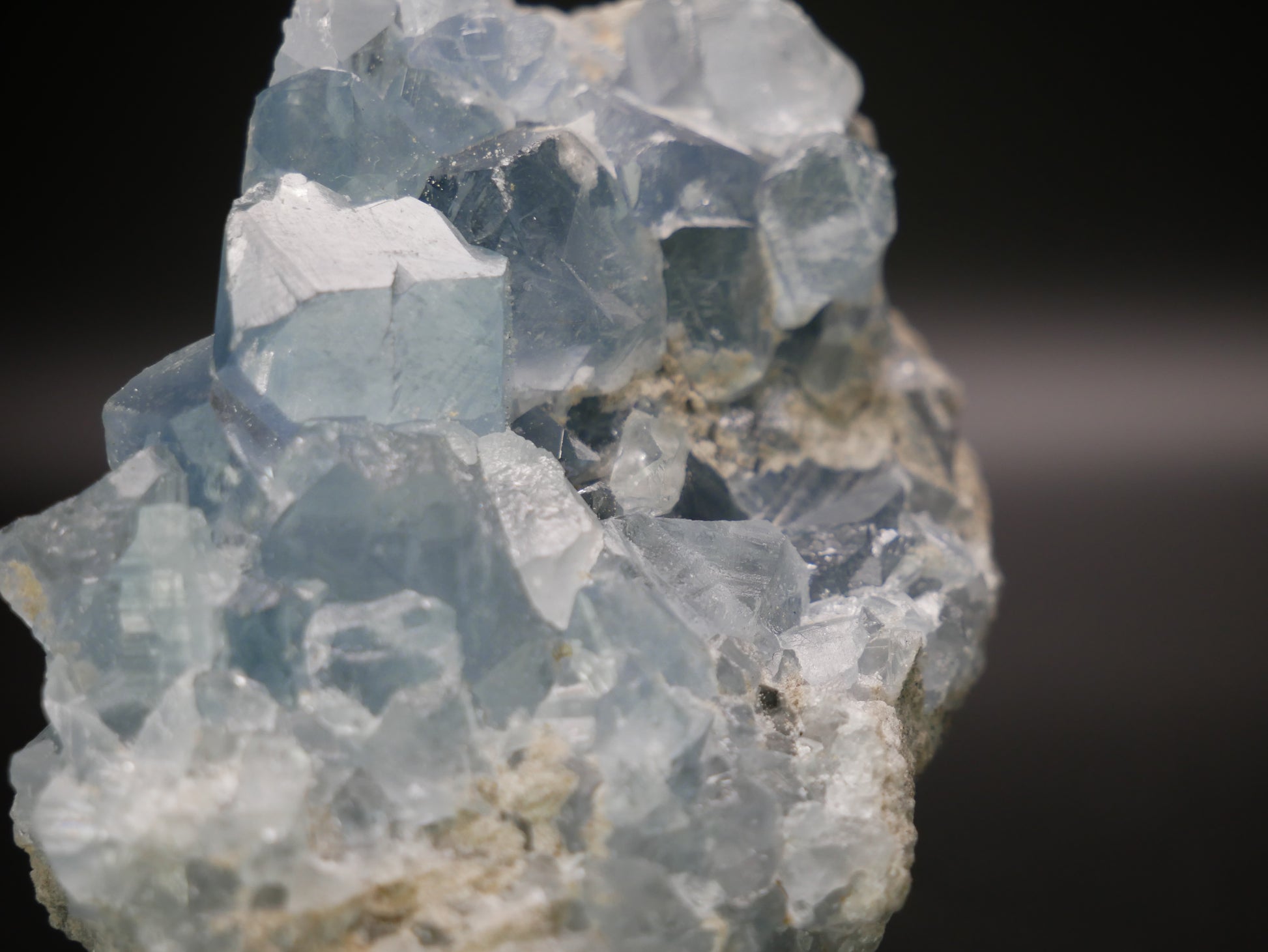 Celestite Cluster 190.4 grams This & That Minerals