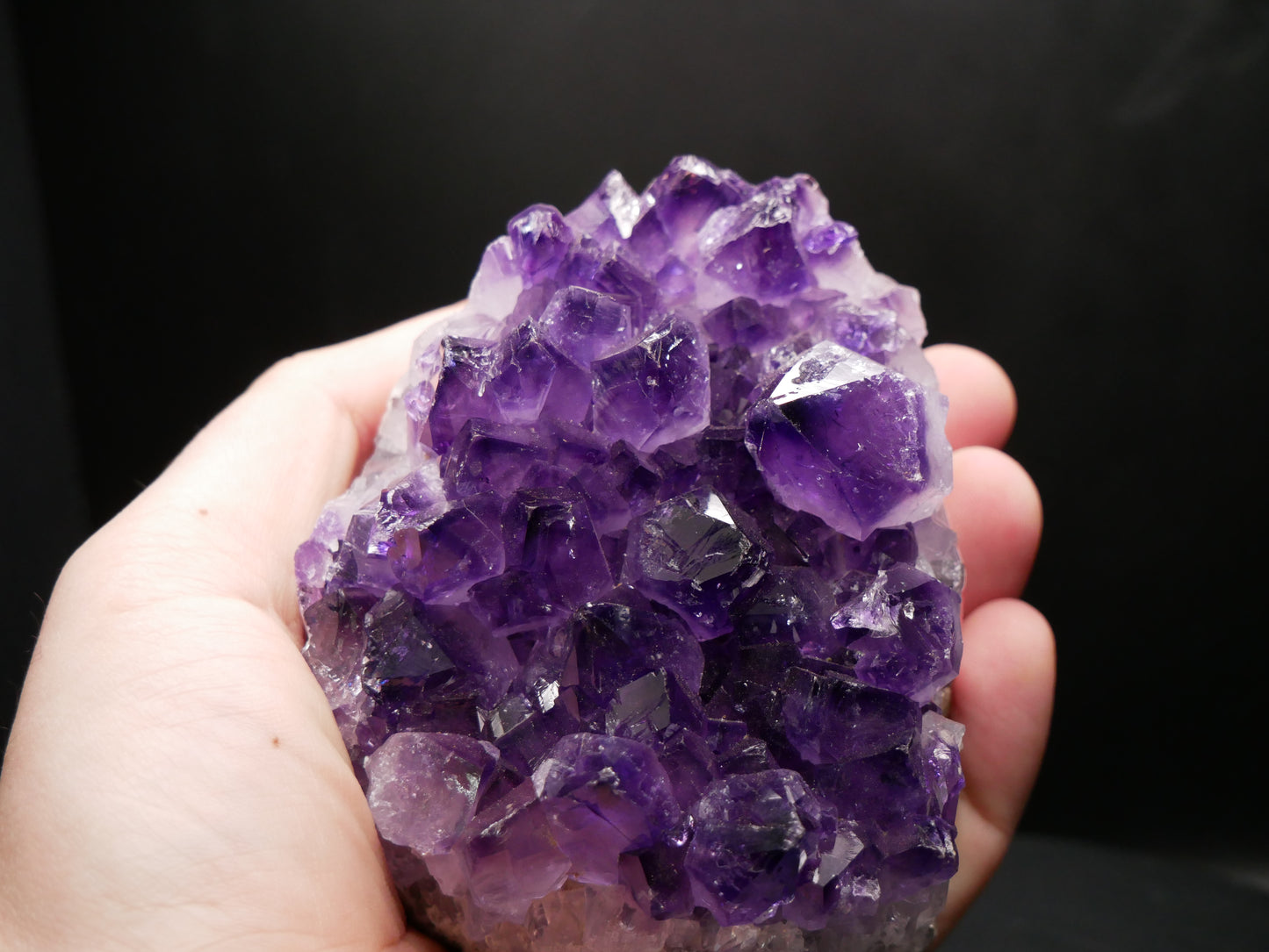 Grade A Amethyst Cluster | 21.6 ounces This & That Minerals