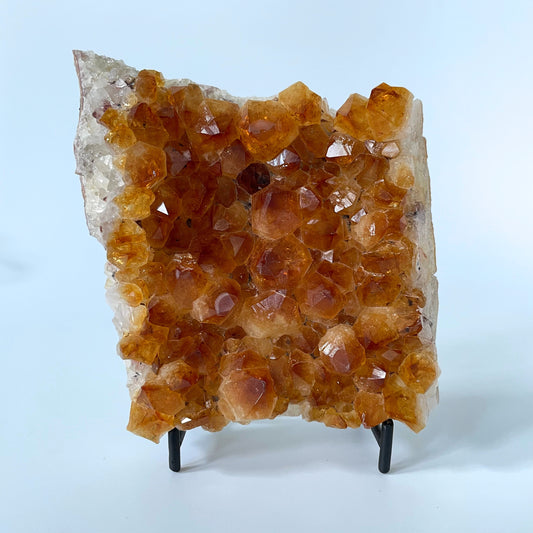 Large citrine cluster with brilliant orange-colored crystal formations on a black stand against a white background. 