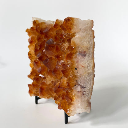 Large citrine cluster with brilliant orange-colored crystal formations on a black stand against a white background. 