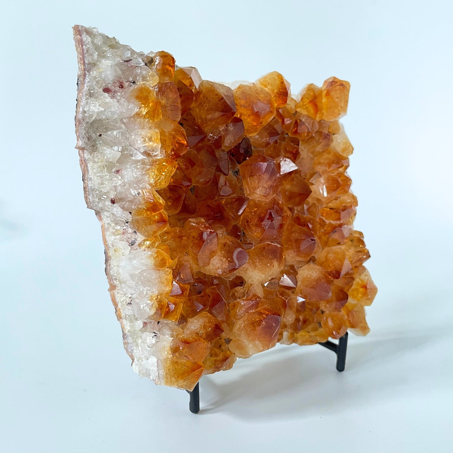 Large citrine cluster with brilliant orange-colored crystal formations on a black stand against a white background. 