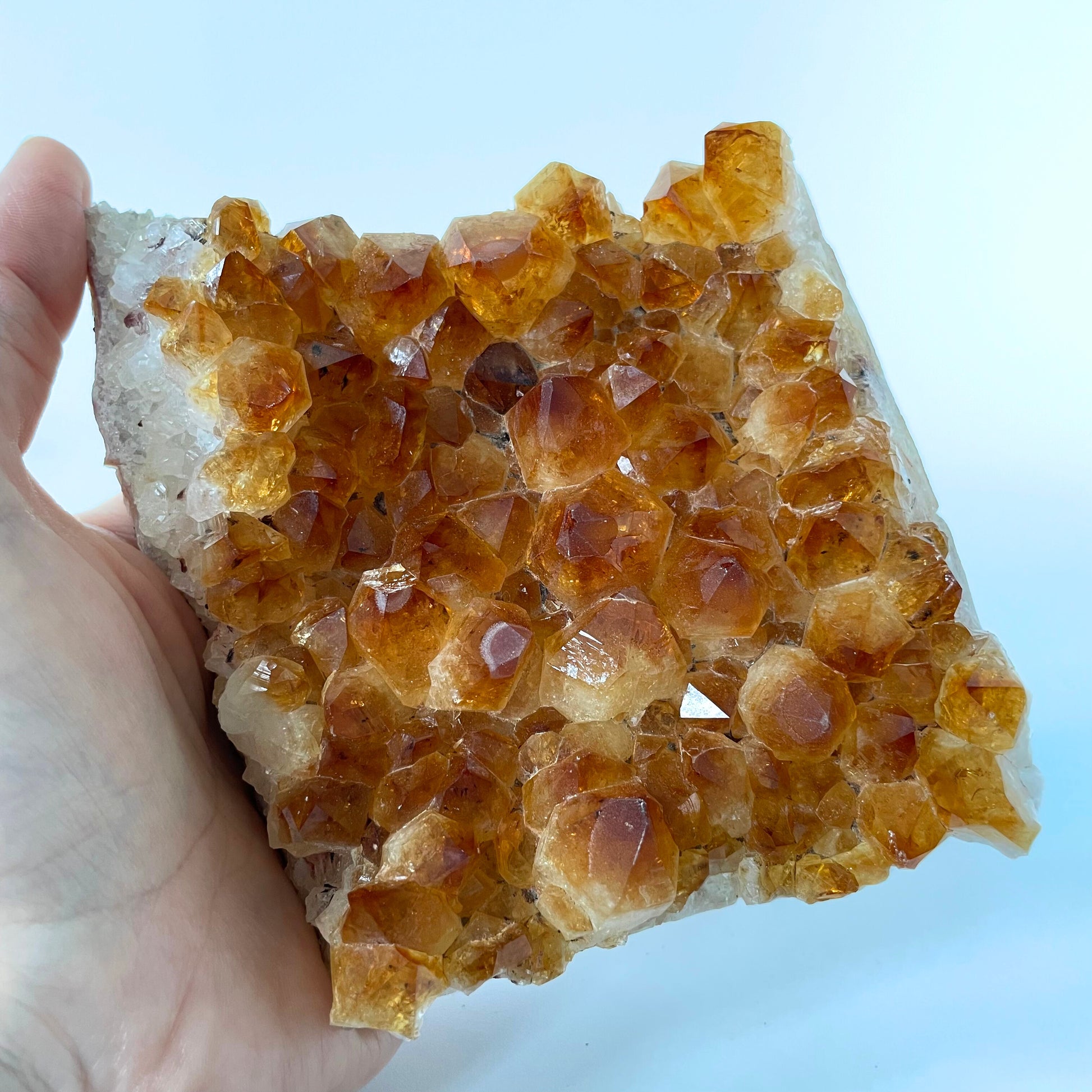 Large citrine cluster with brilliant orange-colored crystal formations on a black stand against a white background. 