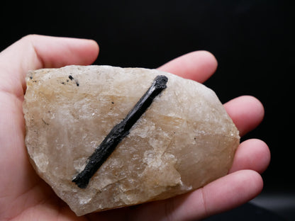 A black tourmaline in a matrix with a distinctive tourmaline crystal protruding from the matrix being held in a hand on a black background.