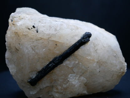 A black tourmaline in a matrix with a distinctive tourmaline crystal protruding from the matrix on a black background.