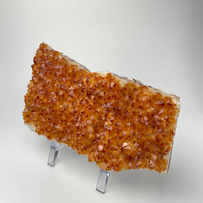 Citrine cluster with deep, orange-colored crystal formations on an acrylic stand against a gray background. 