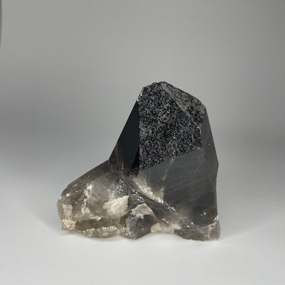 A large 24-ounce Smoky Quartz Cluster with deep, smoky hues and natural crystal formations.