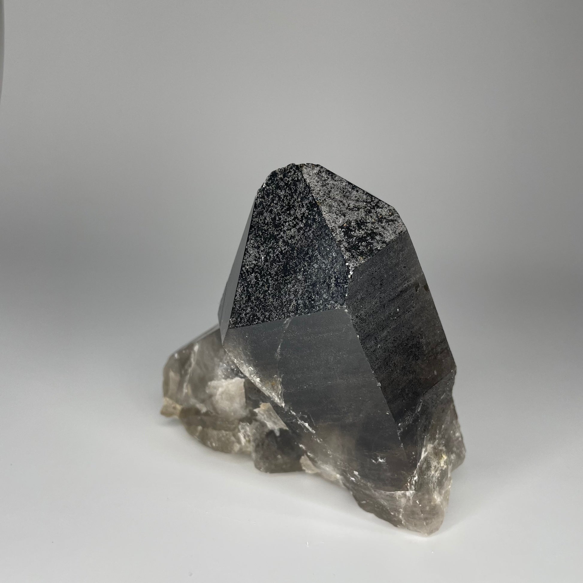 A large 24-ounce Smoky Quartz Cluster with deep, smoky hues and natural crystal formations.