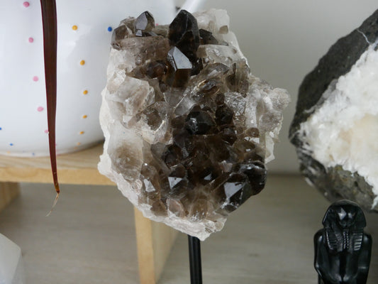 A stunning Smokey Quartz Cluster resting elegantly on a sleek stand. The cluster boasts various shades of smoky brown, with sparkling facets catching the light, creating a captivating display of Earth's natural beauty.