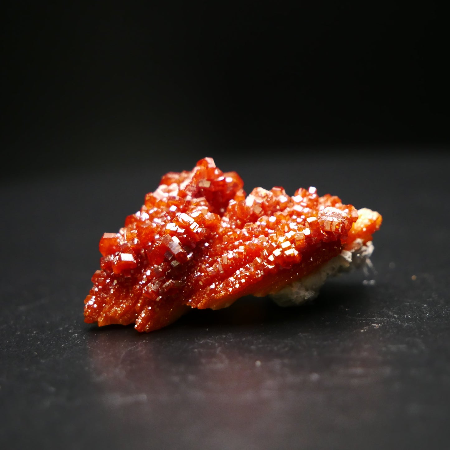 Close-up of a vibrant Vanadinite crystal specimen weighing 11.8 grams, showcasing its intricate geometric structure and fiery red coloration against a solid black background.