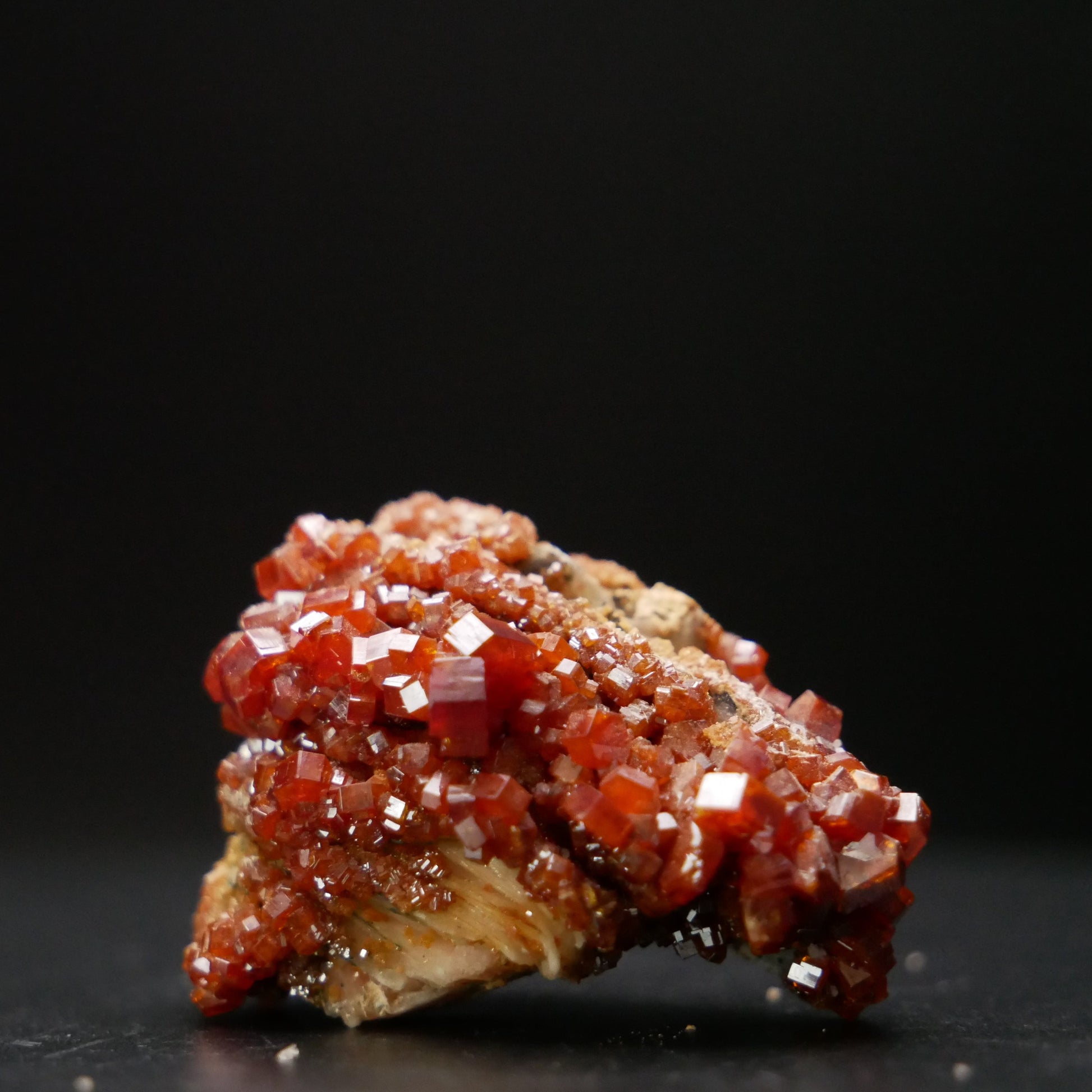 Vanadinite specimen on matrix, weighing 28.73 grams. Bright red hexagonal crystals of vanadinite contrast against the dark matrix background.