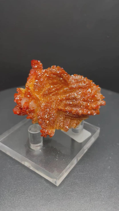 Vanadinite Crystals on Barite | 86.8 grams